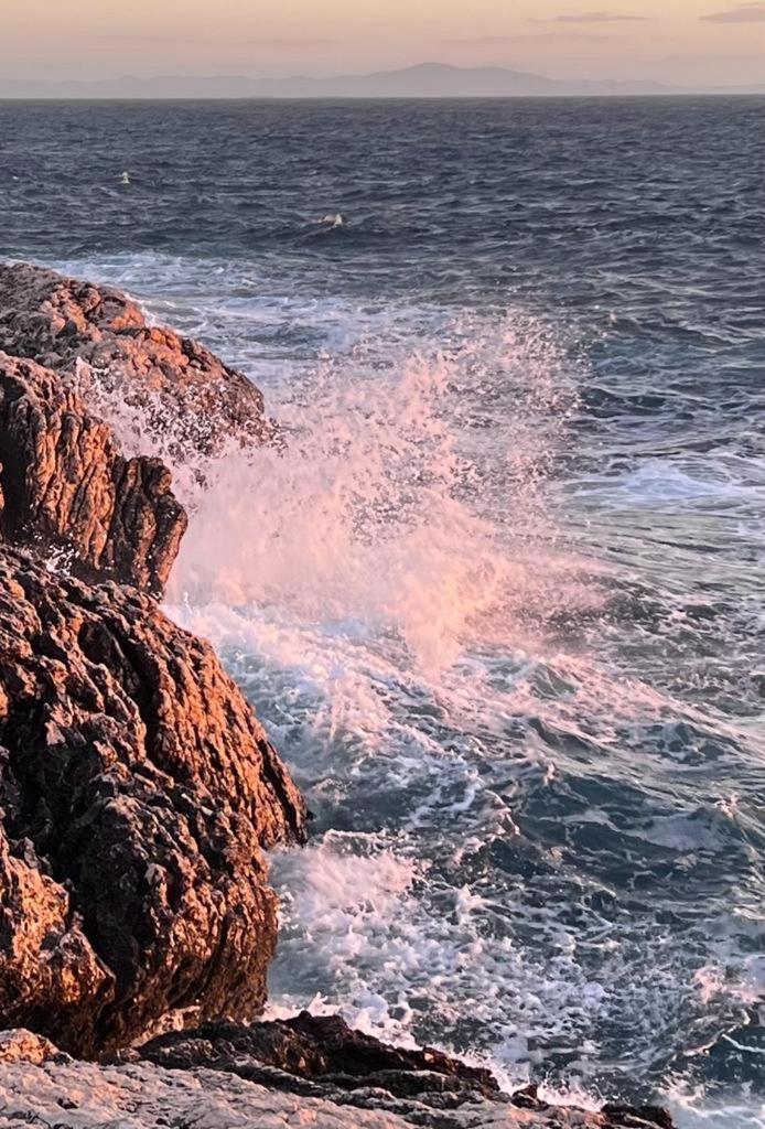 B&B 366 Vrboska Esterno foto